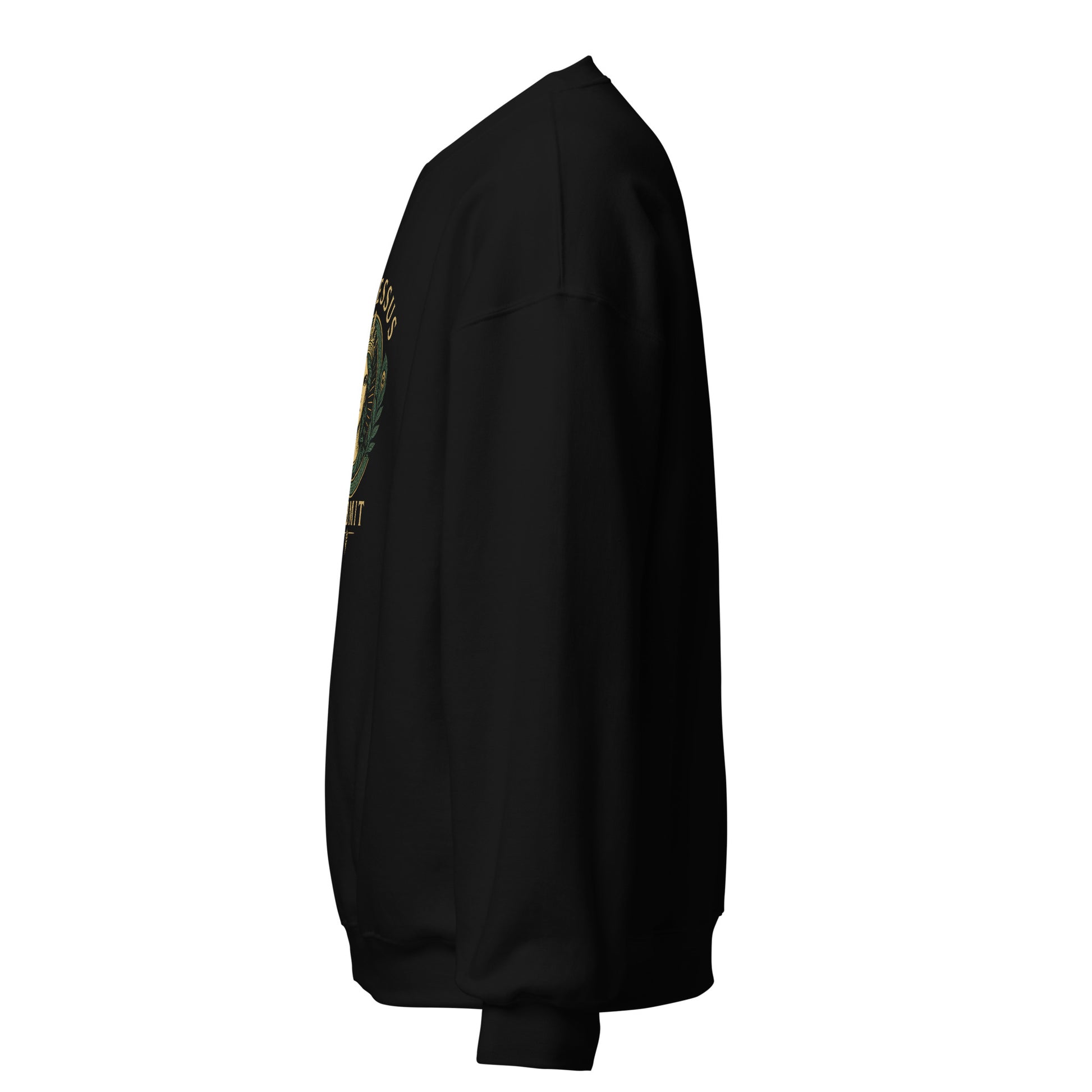 Side view of Black Ephessus Hera The Sovereign Queen Divine Feminine Sweatshirt by Enlight Me Center
