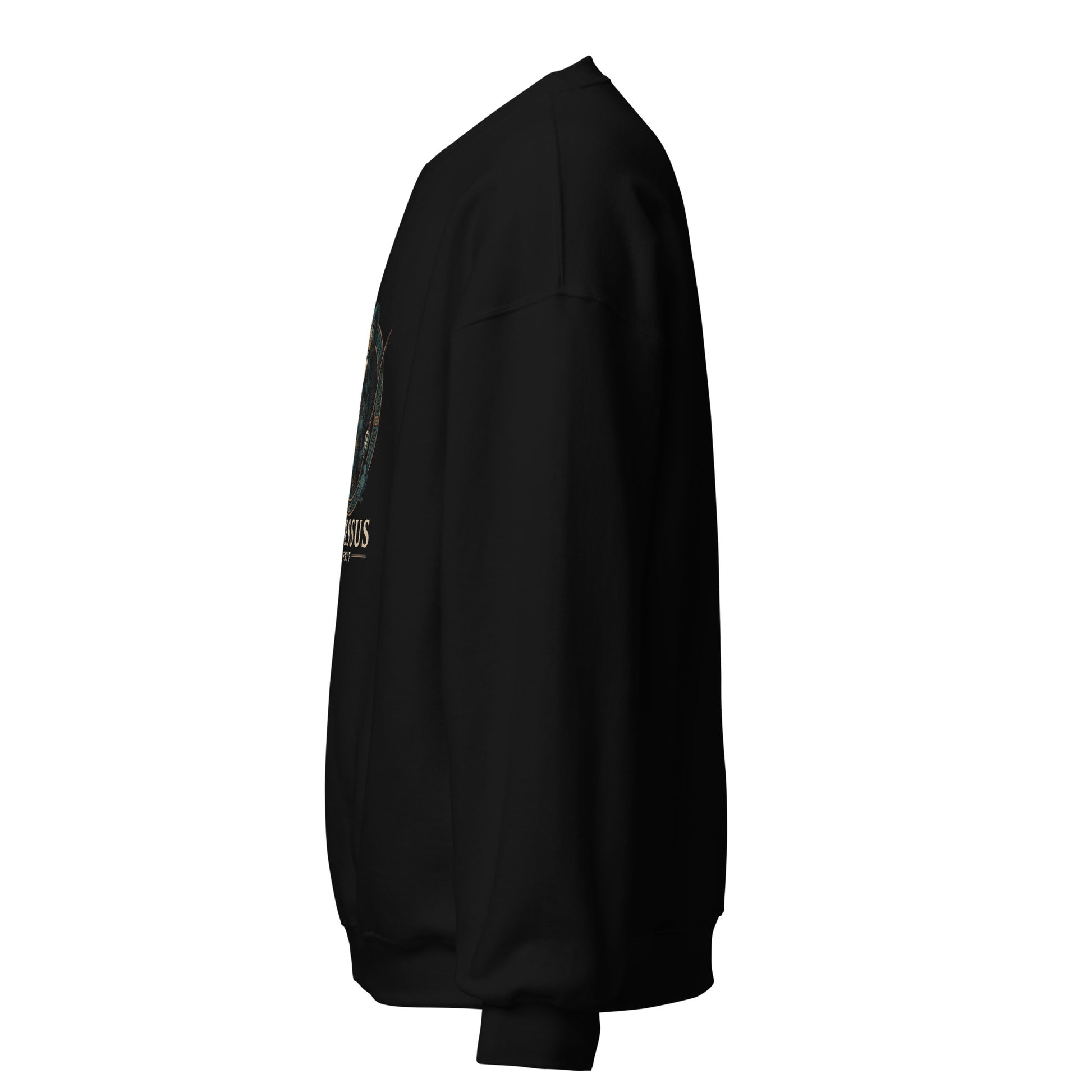 Side view of Black Ephessus Athena The Owl-Bearer Divine Feminine Sweatshirt by Enlight Me Center