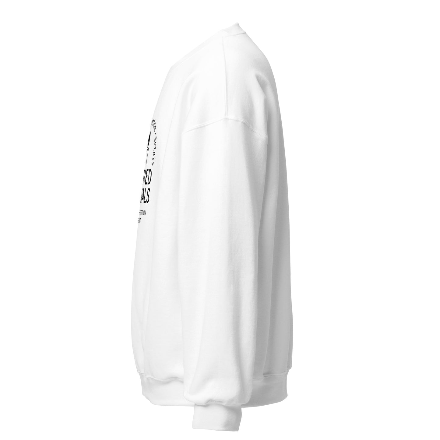 Side view of White Sacred Rituals Spiritual Sweatshirt by Enlight Me Center