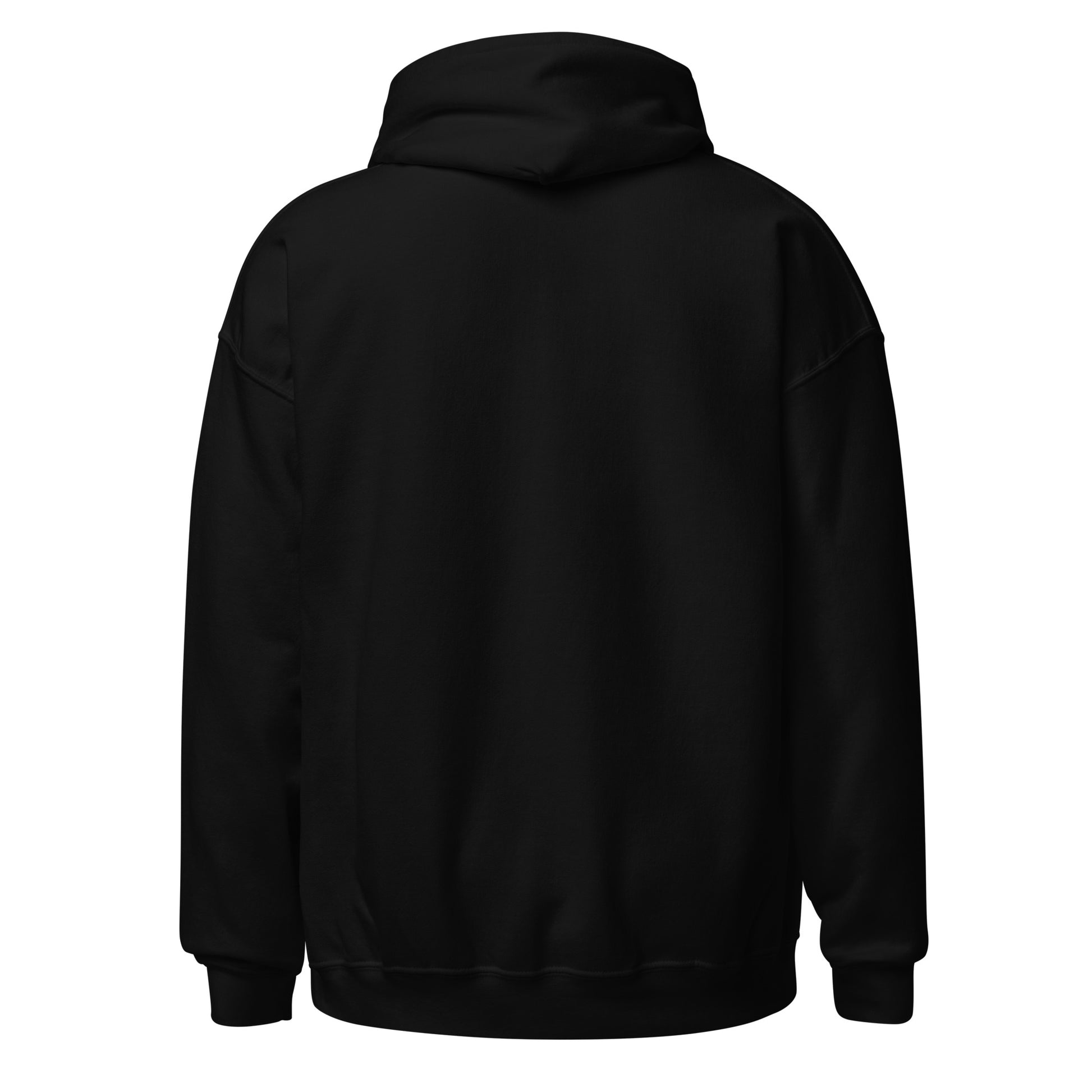 Back view of Black Dream Weaver Dreams Are the Language of the Soul Spiritual Spiritual Hoodie by Enlight Me Center