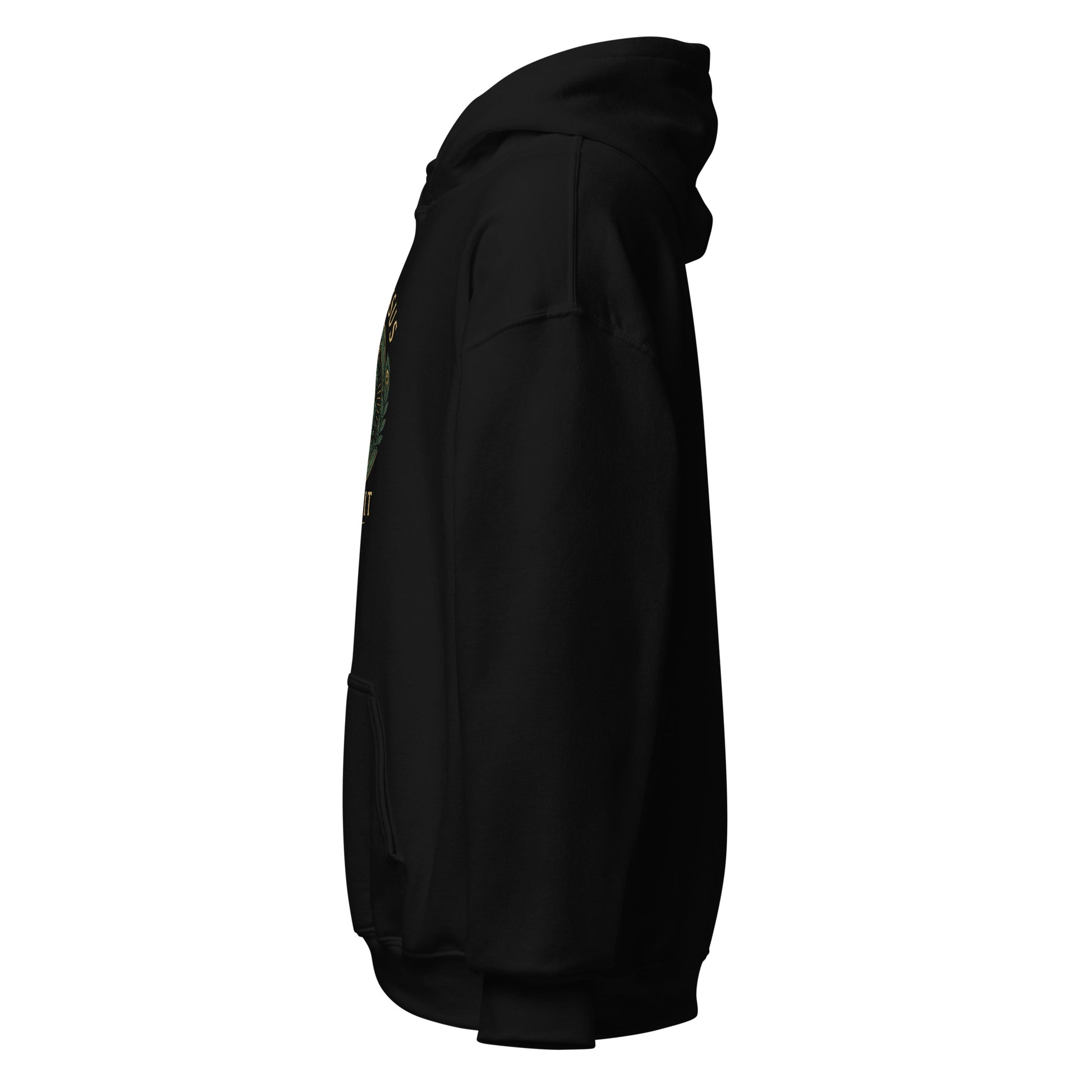 Side view of Black Ephessus Hera The Sovereign Queen Divine Feminine Hoodie by Enlight Me Center