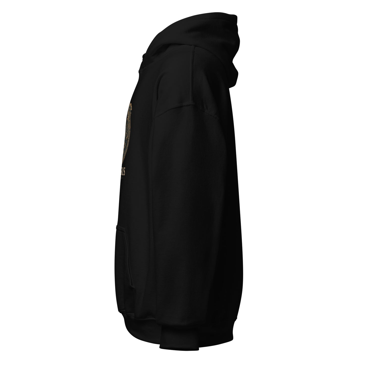 Side view of Black Ephessus Poseidon The Storm Bringer Mythology Hoodie by Enlight Me Center