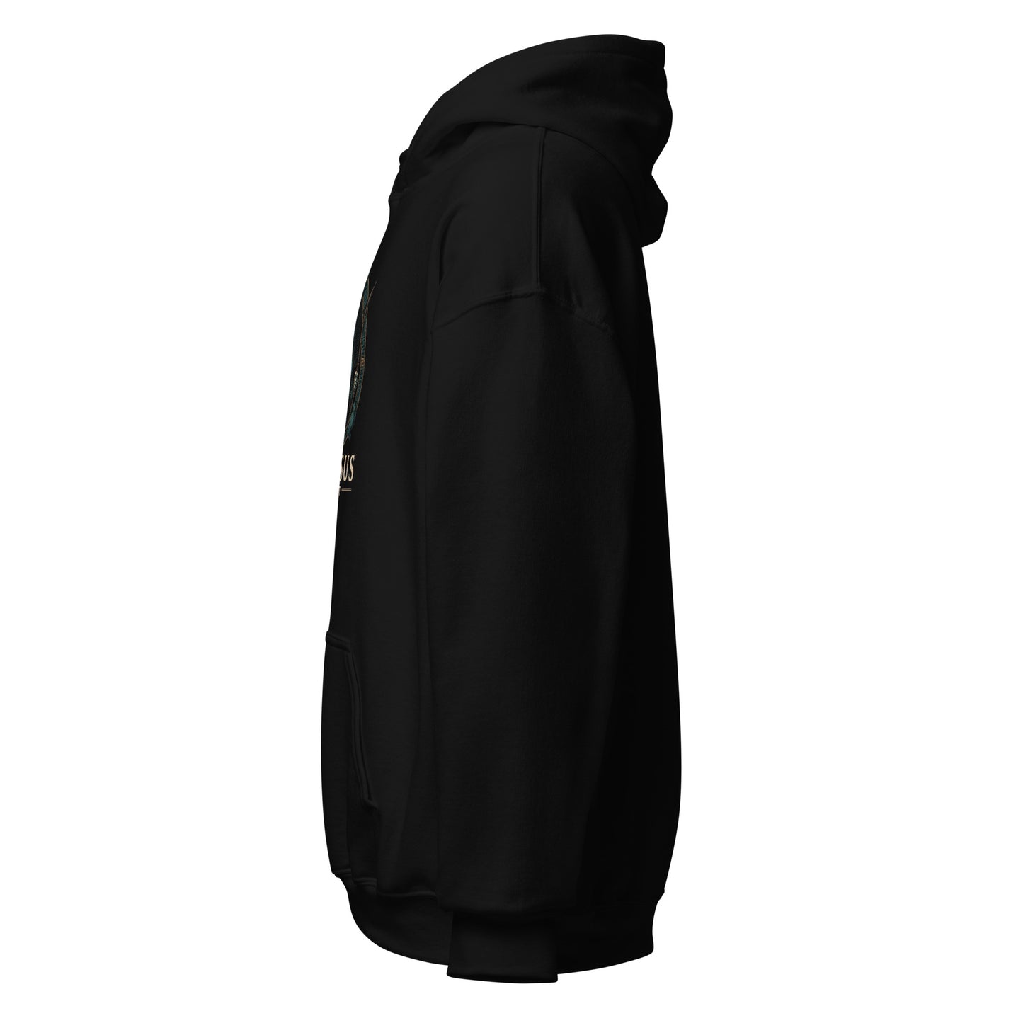 Side view of Black Ephessus Athena The Owl-Bearer Divine Feminine Hoodie by Enlight Me Center
