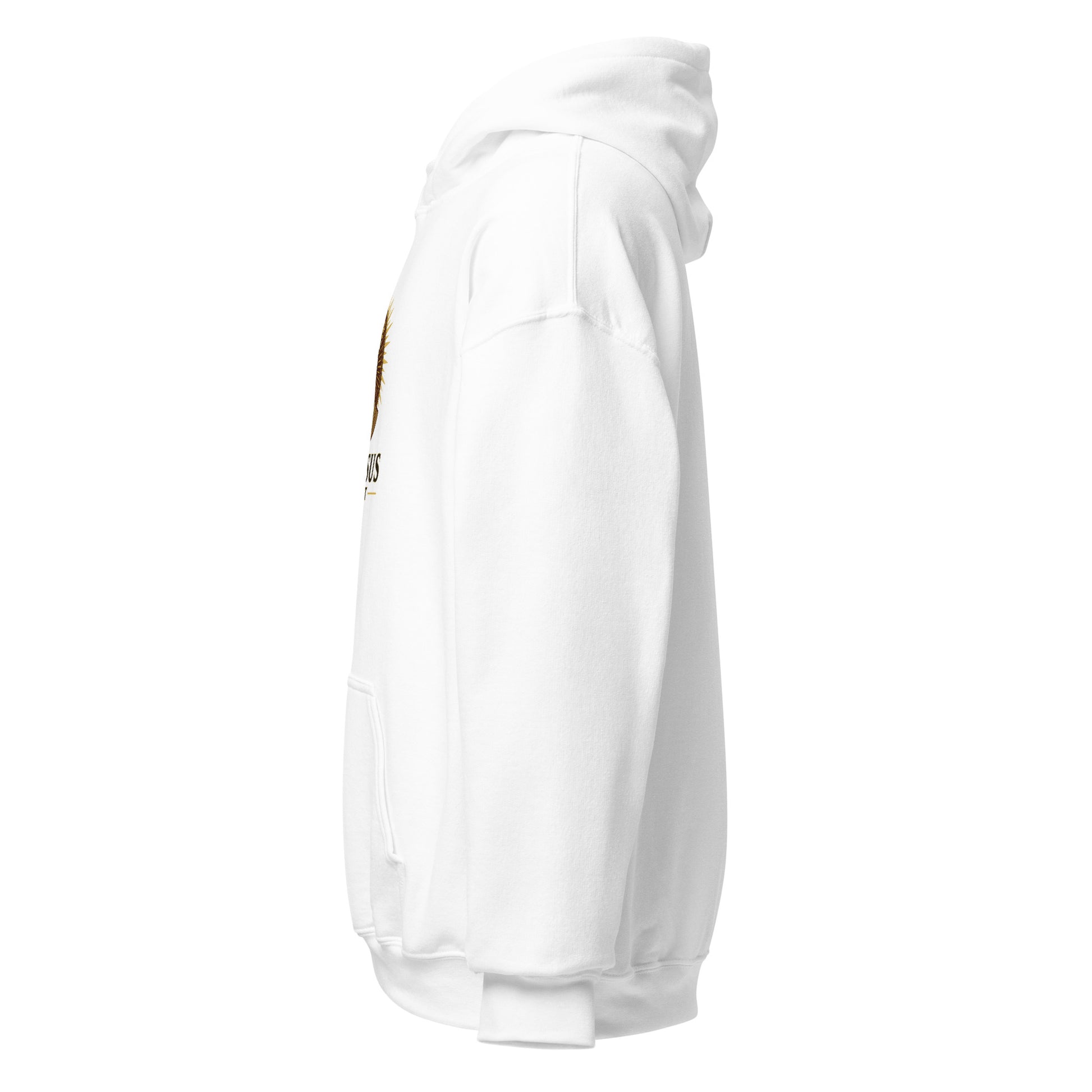 Side view of White Ephessus Apollo The Radiant Mythology Hoodie by Enlight Me Center